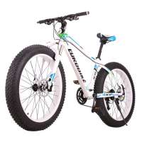 Fashionable aluminum alloy big tyre bike,Colors to paint bicycle